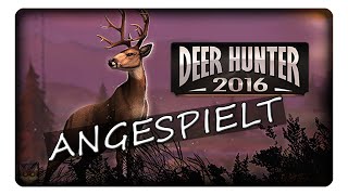 Deer-hunter-2016 porady wskazówki