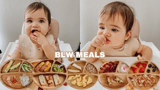 Baby-led-weaning-recipes cheats za darmo