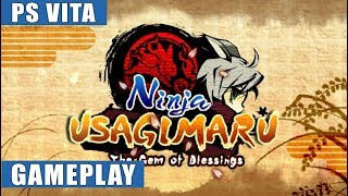 Ninja-usagimaru-two-tails-of-adventure hack poradnik