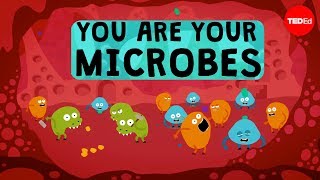 Microbes hack poradnik