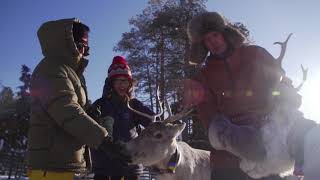 Reindeer-adventure cheats za darmo