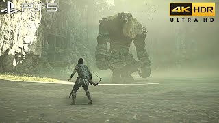 Shadow-of-the-colossus-hd hacki online