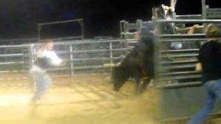 Professional-bull-rider-2 mod apk