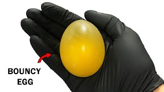 Bouncy-egg cheats za darmo