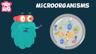 Microbes hacki online