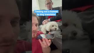 Dog-translator-prank-simulator kupony