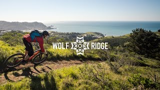Wolf-ridge mod apk