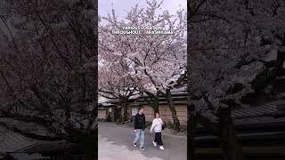 Japan-bloom-watch-face mod apk