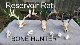 Reservoir-rat triki tutoriale