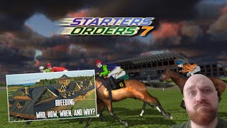 Starters-orders-classic-horse-racing porady wskazówki