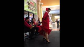 Hispanic-heritage-flamenco hacki online
