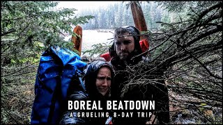 Lost-in-the-boreal porady wskazówki