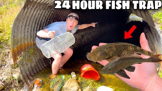 Bassfishing cheat kody