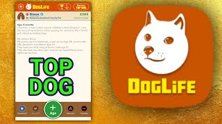 Doglife-bitlife-dogs triki tutoriale