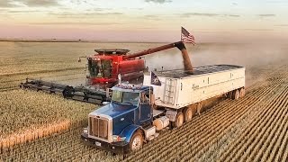 American-farmer hacki online
