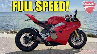 Ducati-moto cheats za darmo